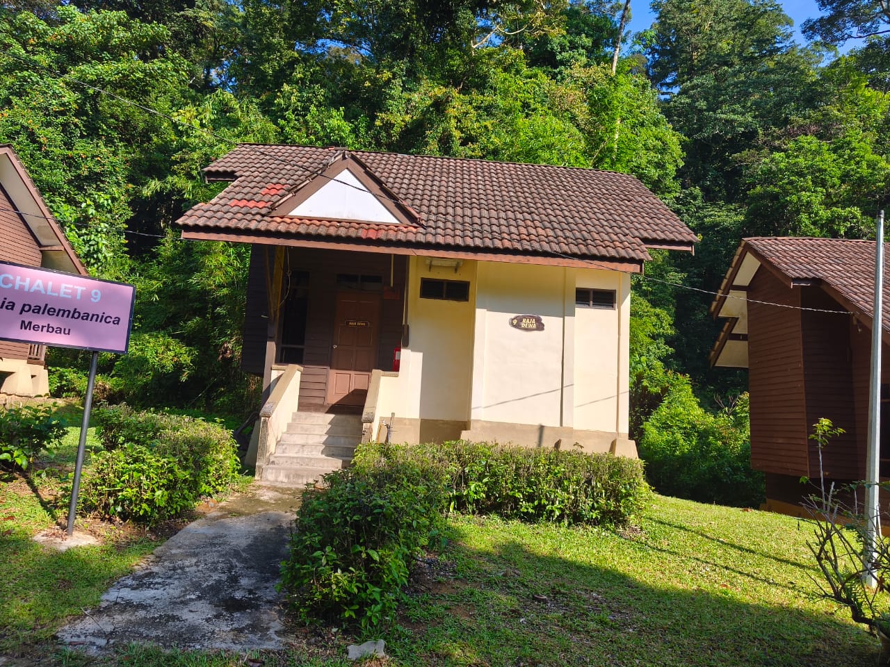 View Chalet Eksklusif @ Sekayu