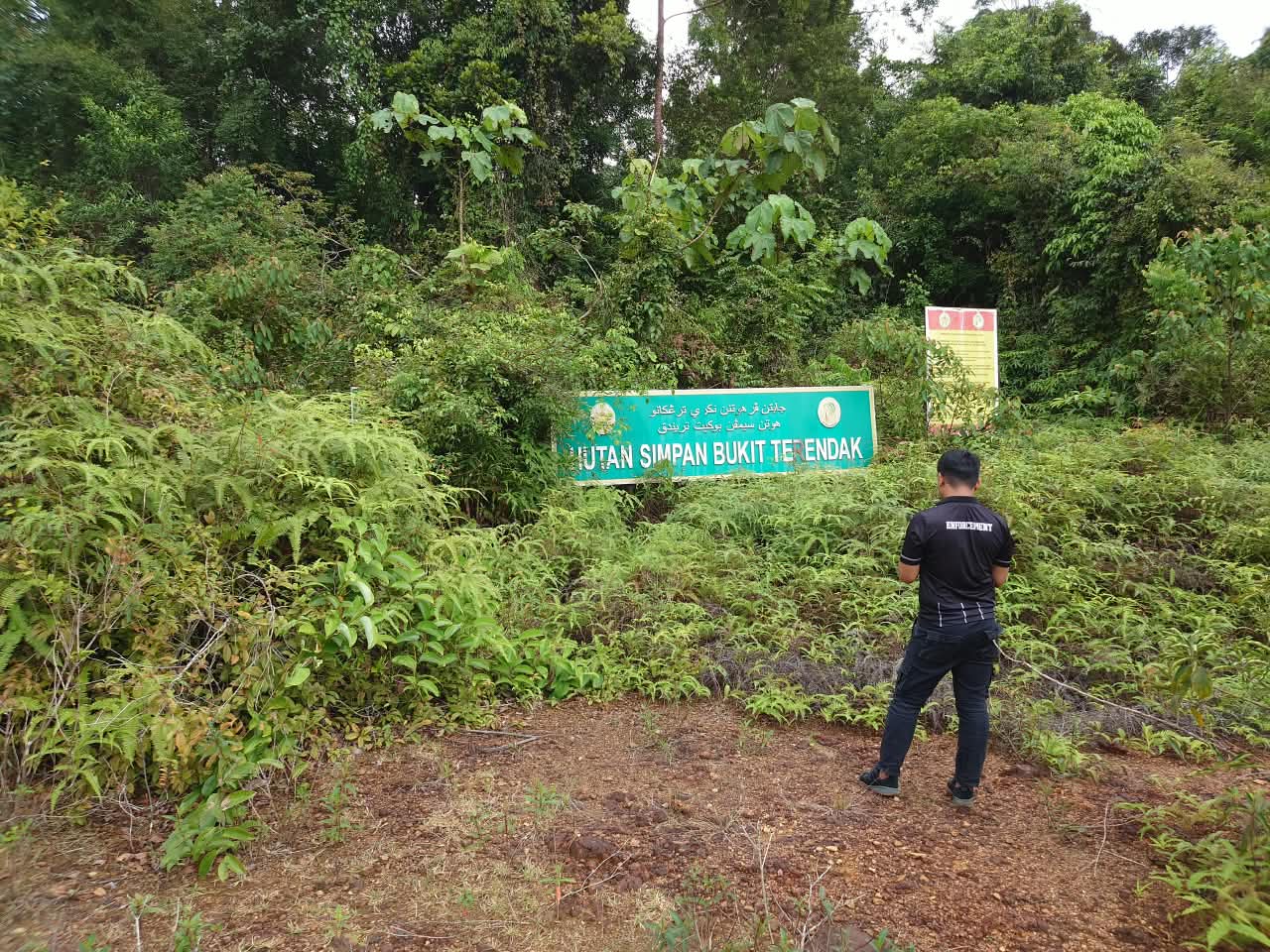View Bukit Terendak