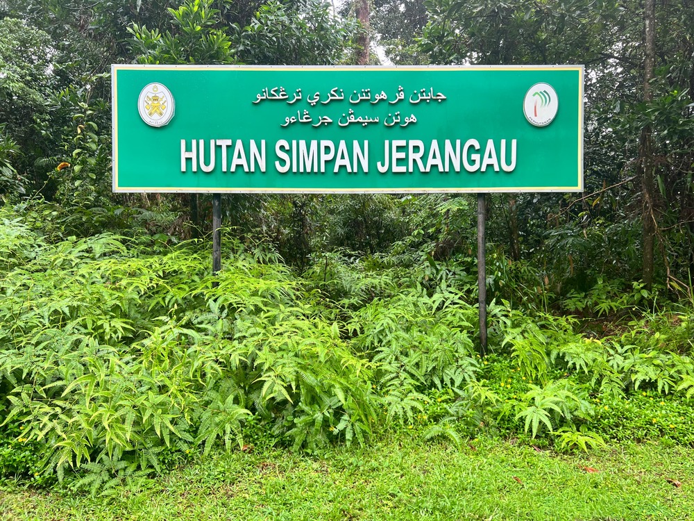 View Jerangau