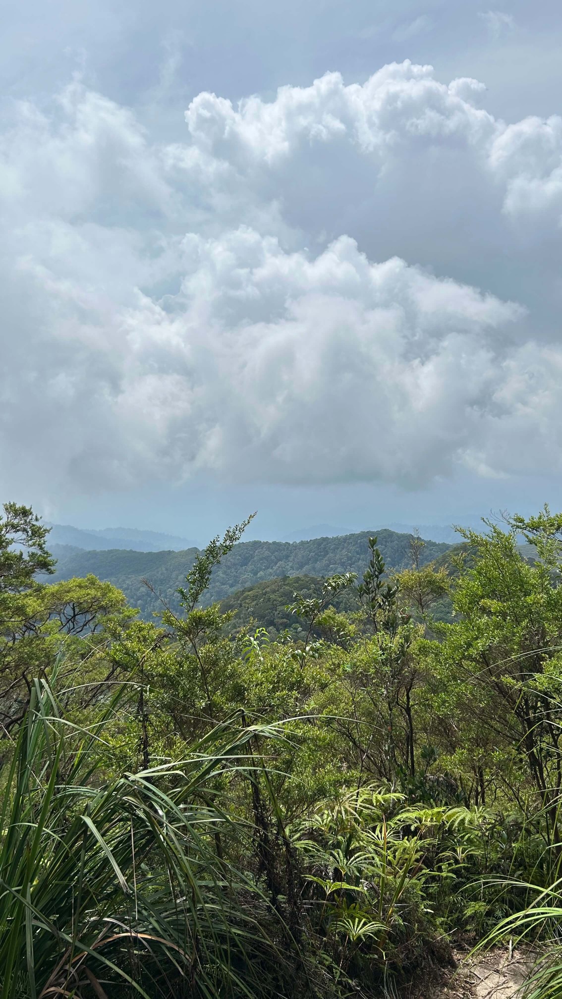 View Gunung Sarut